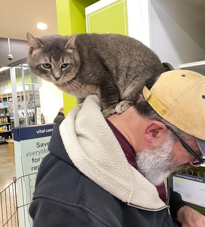 "Feline Finds Her Perfect Match: A Heartwarming Tale of a Cat Who Chooses Her Forever Human After Six Months of Waiting for a Home"